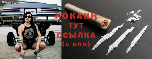 индика Бронницы