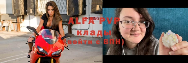 таблы Бородино