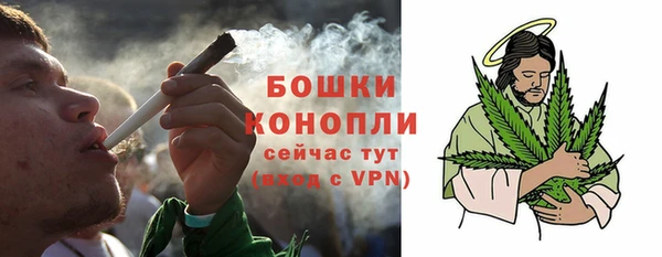 индика Бронницы