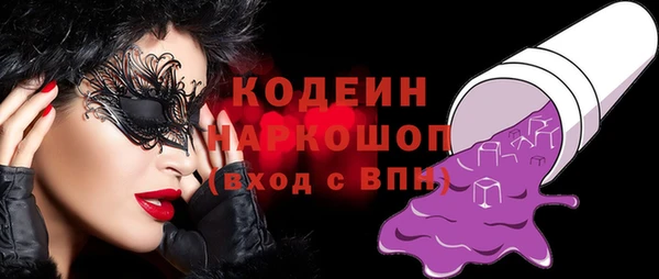 индика Бронницы