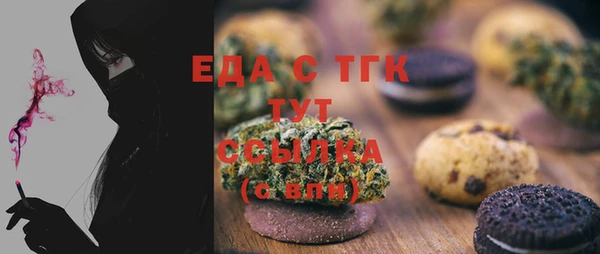 индика Бронницы
