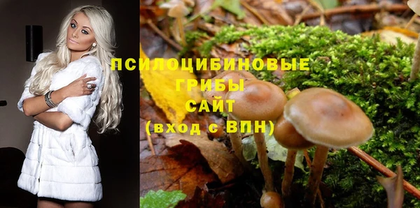 индика Бронницы