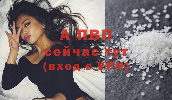 таблы Бородино