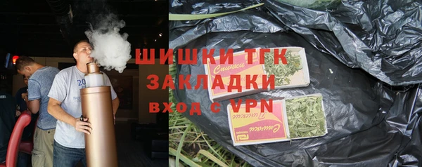 индика Бронницы