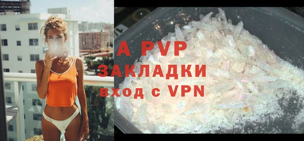 таблы Бородино