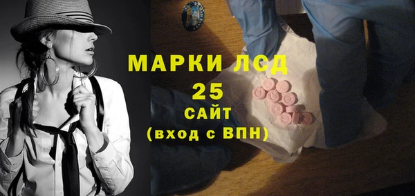 индика Бронницы