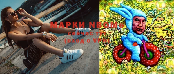 индика Бронницы