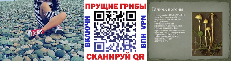 Псилоцибиновые грибы прущие грибы  Ачхой-Мартан 